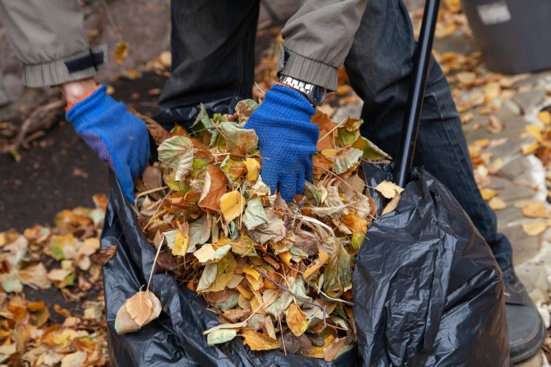 Bagging Leaves for Disposal