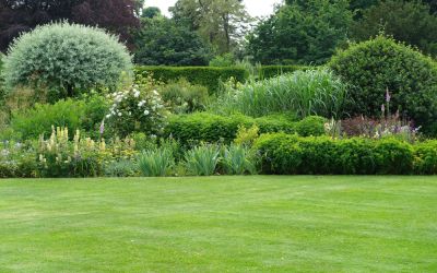 Clear Areas for New Gardening or Open Space!